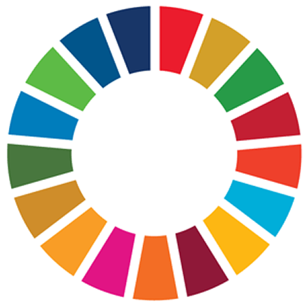 SDG logo